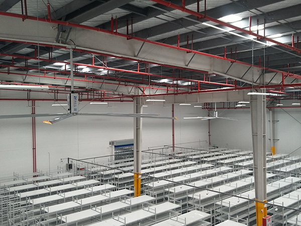 福泰工業(yè)大風(fēng)扇，一招解決高溫悶熱！